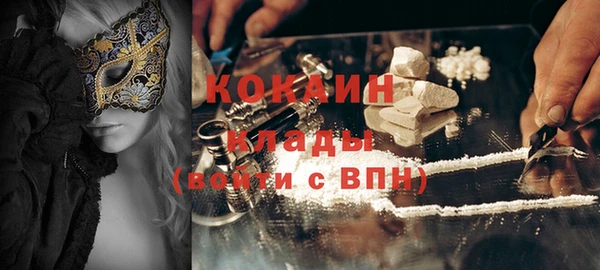 крисы Аркадак