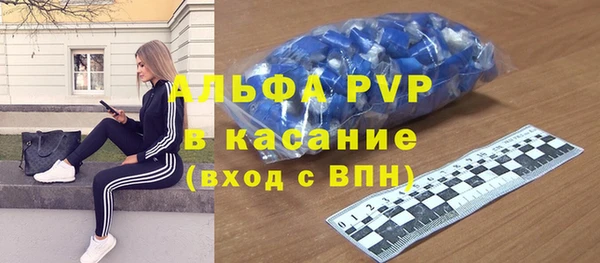 крисы Аркадак