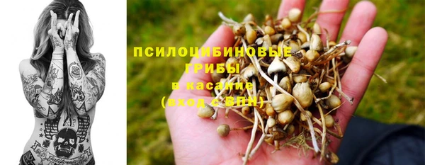 прущие крисы Армянск